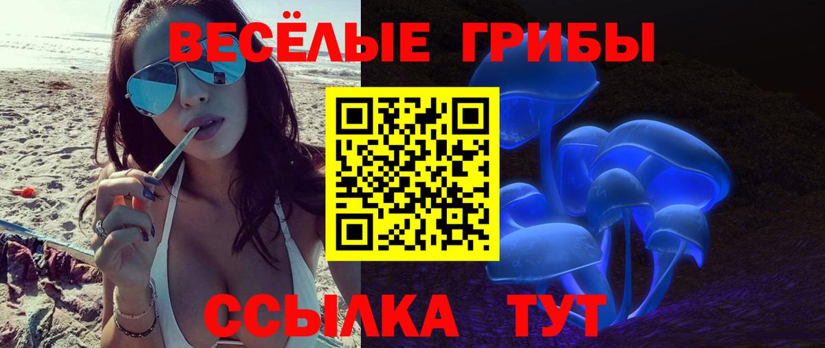 Галлюциногенные грибы Magic Shrooms  Галлюциногенные грибы прущие грибы  Мариинск  Вход с VPN 